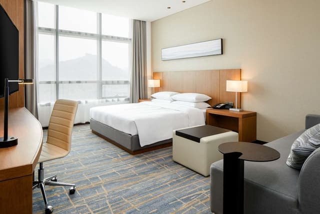 Room, 1 King Bed with Sofa bed