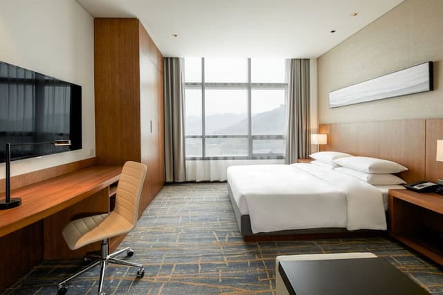 Room, 1 King Bed with Sofa bed
