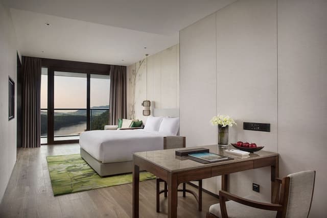 Room, 1 King Bed, Mountain View