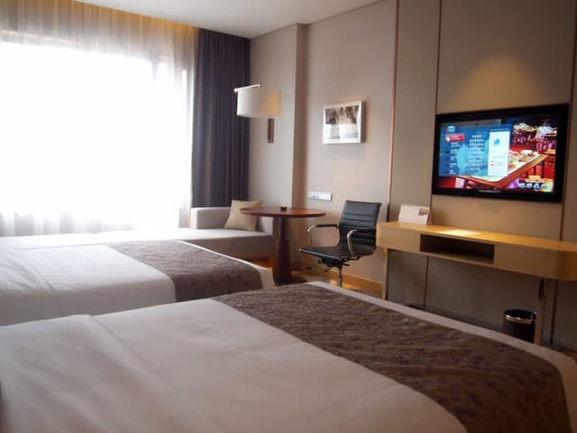 Deluxe Twin Room
