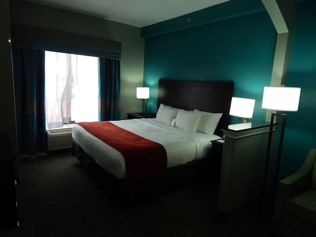 Suite, 1 King Bed with Sofa bed, Accessible, Non Smoking