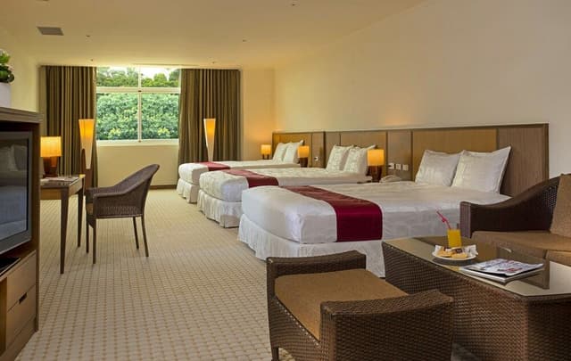 Premium Room, Multiple Beds