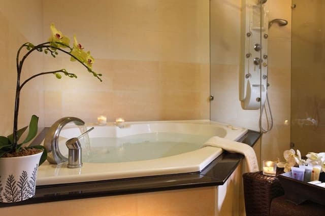 Deluxe Room, 1 Double Bed