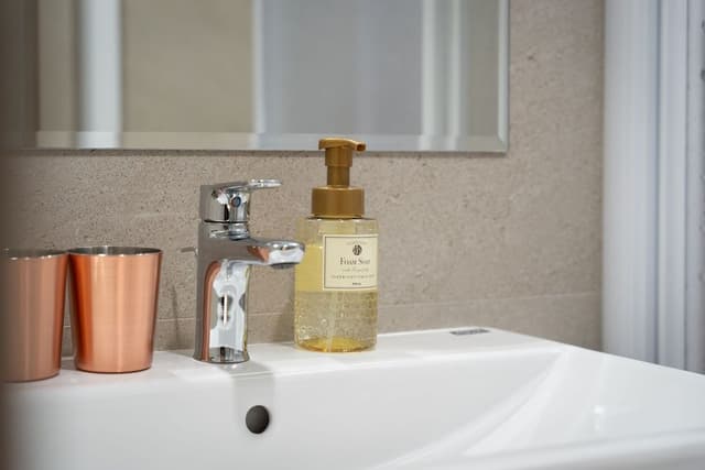 Deluxe King with Bathtub