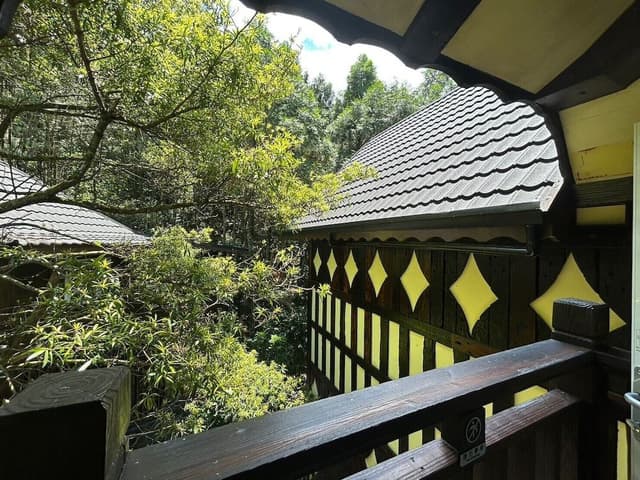 Classic Double Room, 1 Queen Bed, Non Smoking, Mountain View