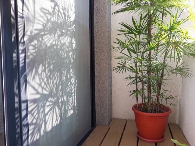 Standard Double Room, 1 Double Bed, Non Smoking, Courtyard View (No extra bed allowed)