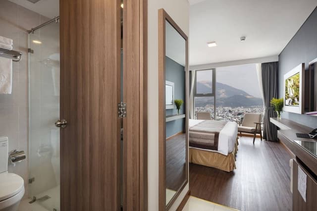 Deluxe Room, City View