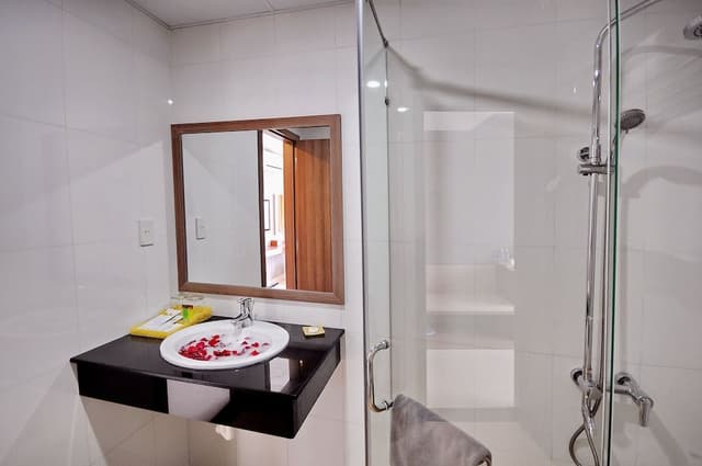 Deluxe Room, Mountain View