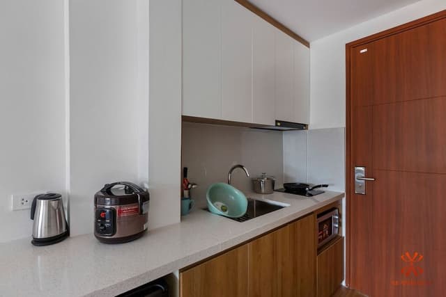 Panoramic Studio