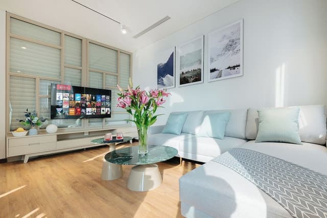 Luxury Apartment