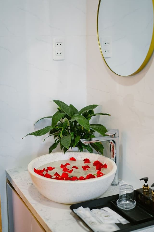Deluxe Room, Bathtub