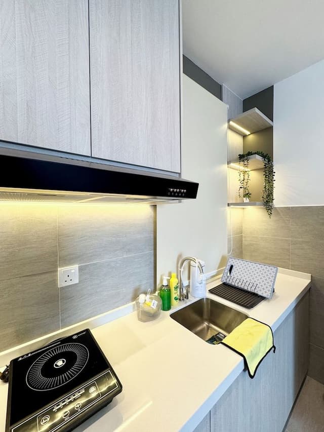 Deluxe Apartment