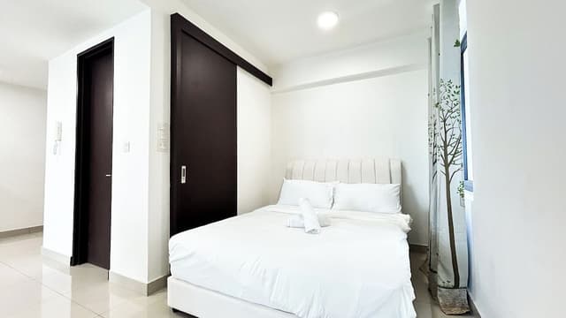 Studio Suite