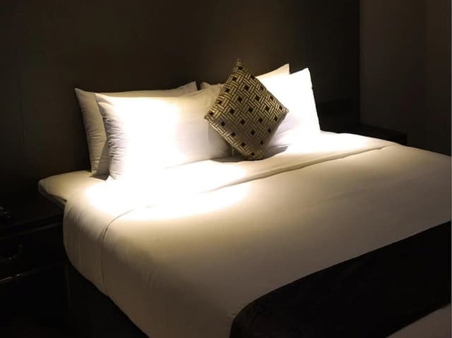 CEO Suite