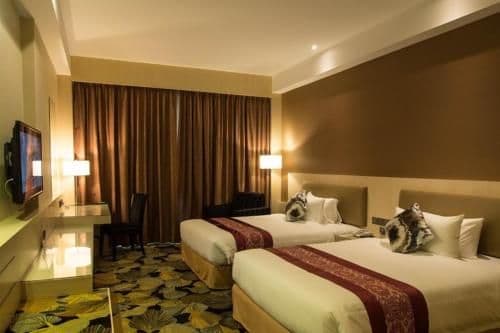 Superior Twin (2 Single Beds)