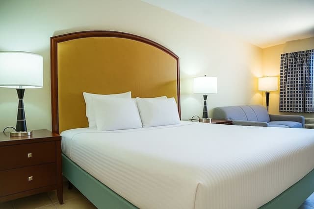 Standard Room, 1 King Bed, Non Smoking