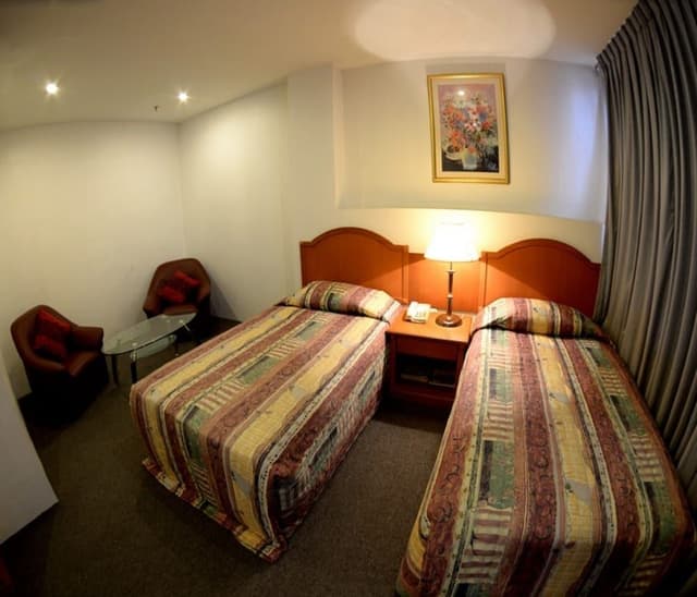 Deluxe Double or Twin Room, Smoking