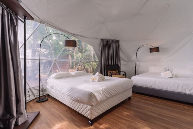 Igloo