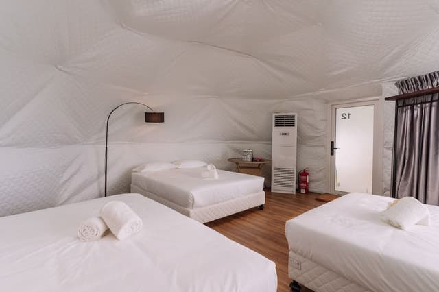 Igloo