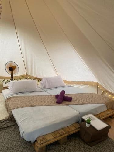 Standard Tent