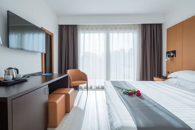 Superior Double Room, 1 King Bed, Non Smoking