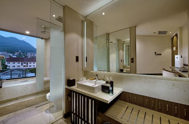 Premier Room, 2 Twin Beds, Bathtub, Mountain View