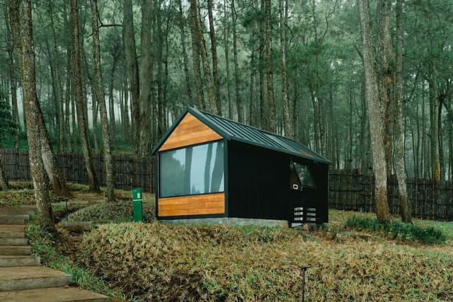 Deluxe Cabin, 1 King Bed