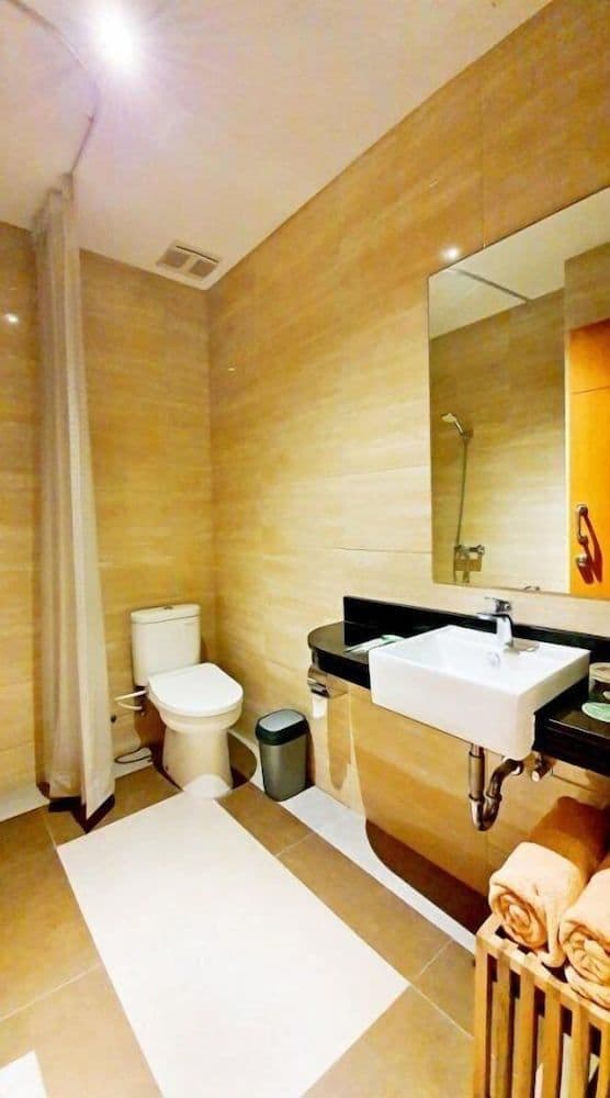 Deluxe Double or Twin Room, City View