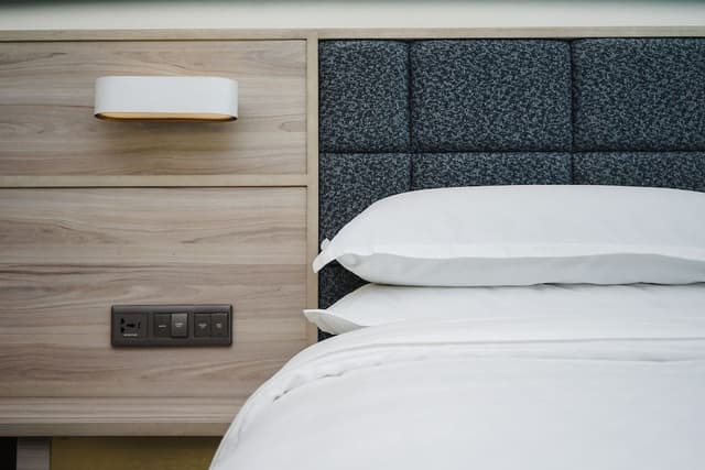 Room, 1 King Bed (Premium Deluxe, 1 King)