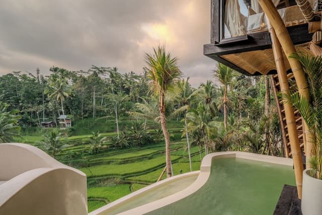 Sawah View Pool Villa