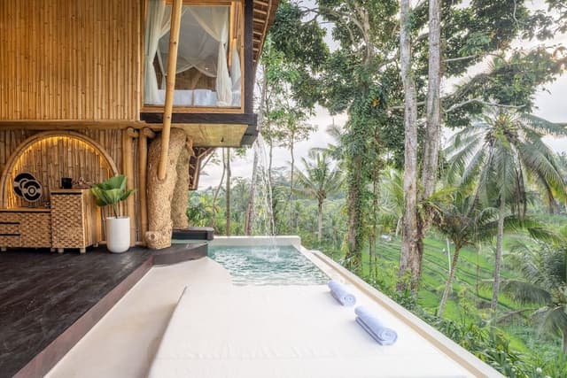 Sawah View Pool Villa