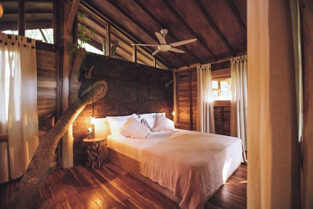 Premier Tree House