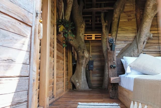 Honeymoon Tree House
