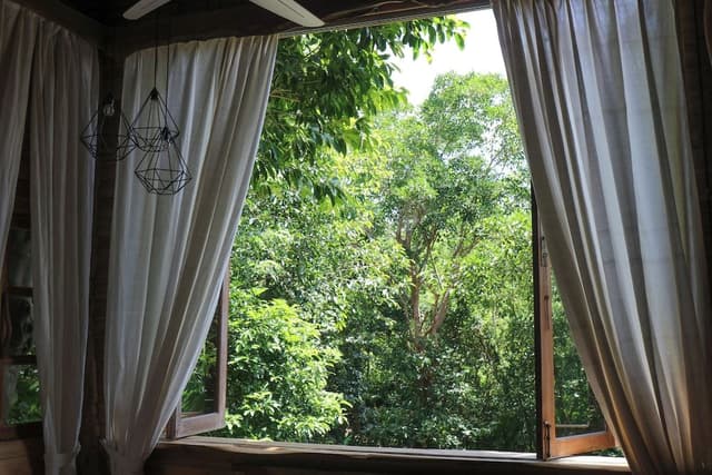 Panoramic Tree House