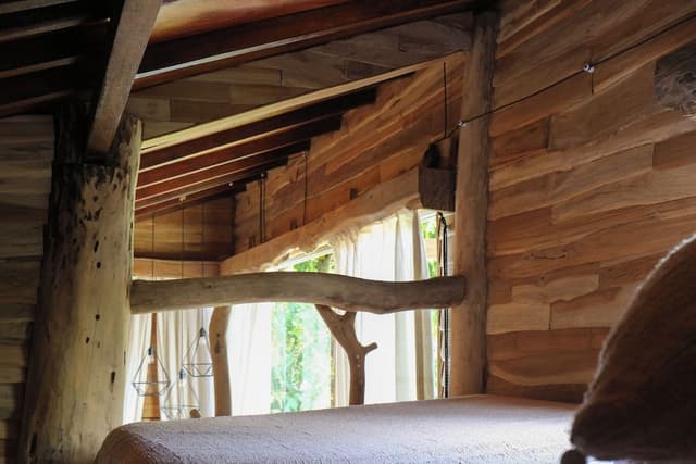 Panoramic Tree House