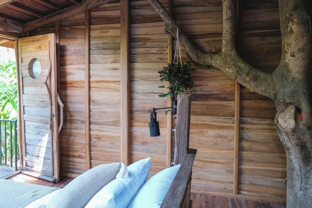 Honeymoon Tree House