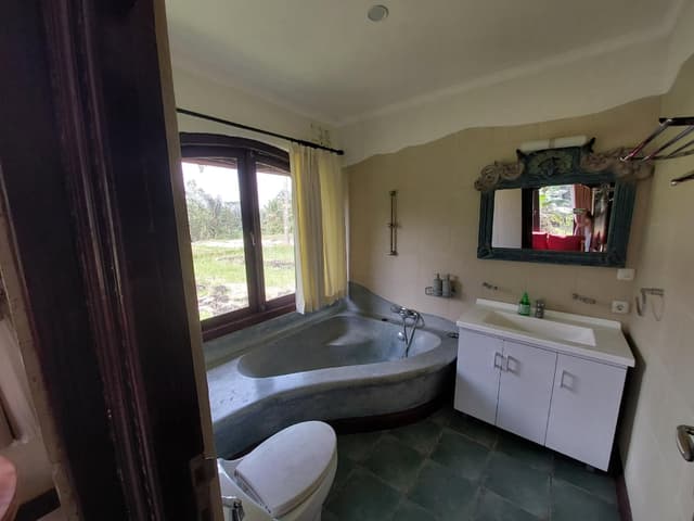 Deluxe Room with Shower