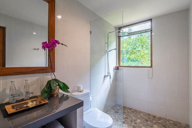 Deluxe Double Room, Balcony