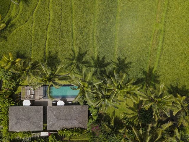 2 Bedroom Pool Villa with Rice Field View and Daily Scheduled Activities