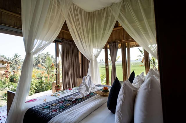 Rice Field View Double Room - Non-Smoking