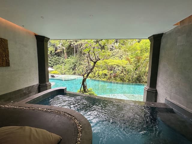 Premium Suite Room with Plunge Pool