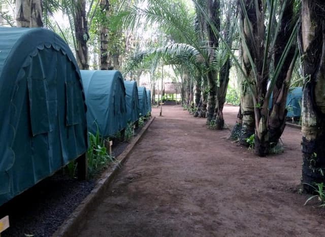 Junior Tent