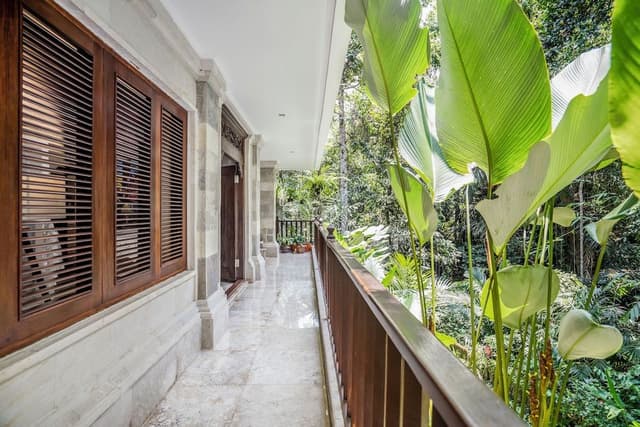 Superior Suite (Jungle View)