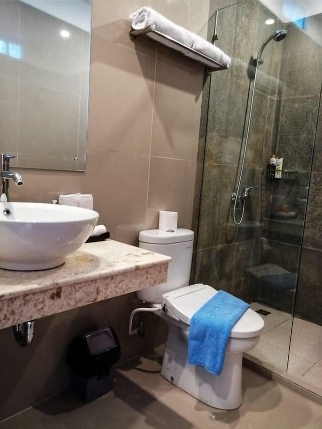Standard Double or Twin Room