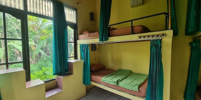 Standard Shared Dormitory