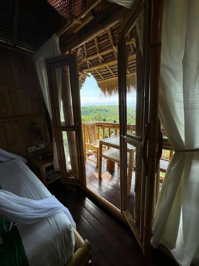 Panoramic Tree House