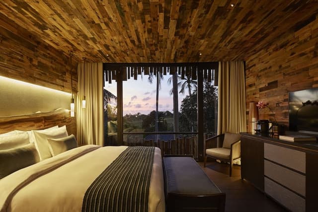 Canopy Suite