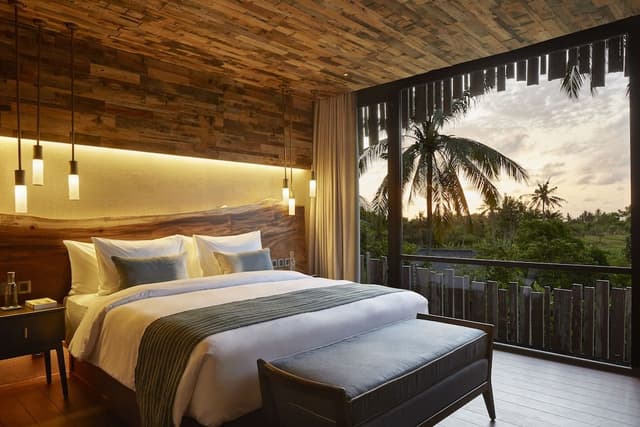 Canopy Suite