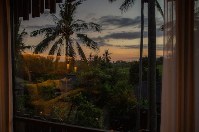 Canopy Suite