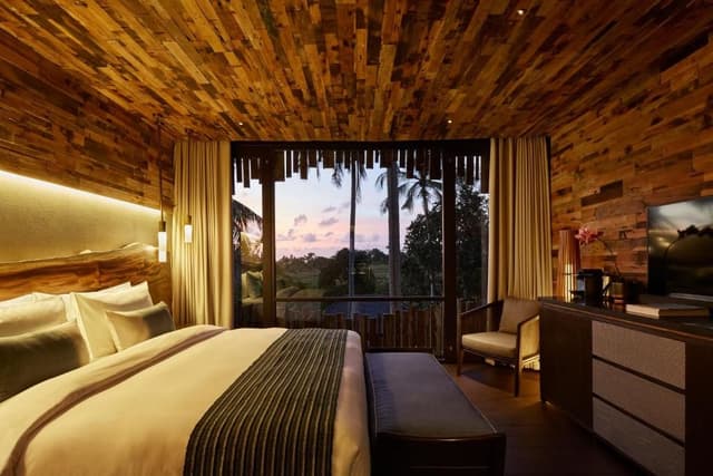 Canopy Suite
